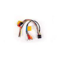 Fusion Stereo Power & Speaker Connector (RCA Out Zone 1)