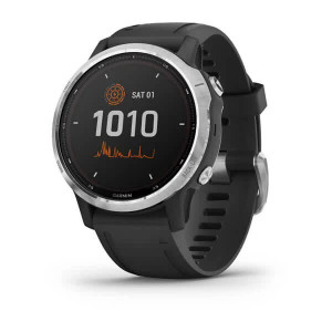 Часы Garmin Fenix 6S Solar Silver with black band