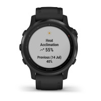 Часы Garmin Fenix 6S Pro Black with Black Band