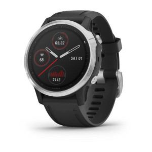 Часы Garmin Fenix 6S Silver with Black Band