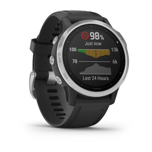 Часы Garmin Fenix 6S Silver with Black Band
