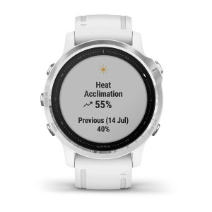 Часы Garmin Fenix 6S Silver with White Band