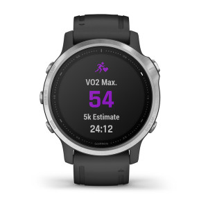 Часы Garmin Fenix 6S Silver with Black Band