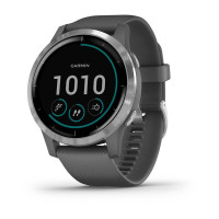 Часы Garmin vivoactive 4 Shadow Gray/Silver 