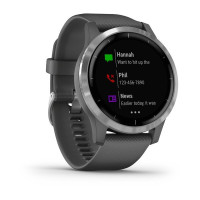 Часы Garmin vivoactive 4 Shadow Gray/Silver 