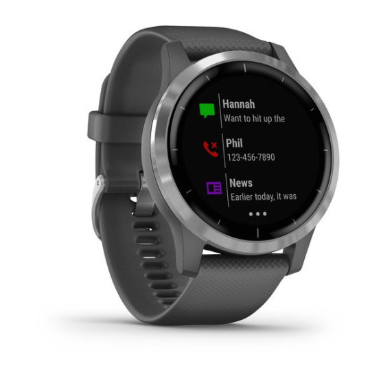 Часы Garmin vivoactive 4 Shadow Gray/Silver Часы Garmin vivoactive 4 Shadow Gray/Silver