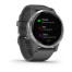 Часы Garmin vivoactive 4 Shadow Gray/Silver