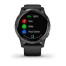 Часы Garmin vivoactive 4 Black/Slate
