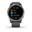 Часы Garmin vivoactive 4 Shadow Gray/Silver