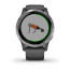 Часы Garmin vivoactive 4 Shadow Gray/Silver