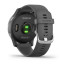 Часы Garmin vivoactive 4 Shadow Gray/Silver