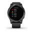 Часы Garmin vivoactive 4 Black/Slate