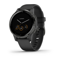 Часы Garmin vivoactive 4S Black/Slate 