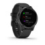 Часы Garmin vivoactive 4S Black/Slate