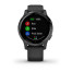 Часы Garmin vivoactive 4S Black/Slate