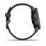 Часы Garmin vivoactive 4S Black/Slate
