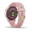 Часы Garmin vivoactive 4S Dust Rose/Light Gold 