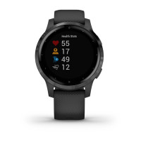 Часы Garmin vivoactive 4S Black/Slate 