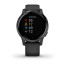 Часы Garmin vivoactive 4S Black/Slate