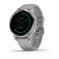 Часы Garmin vivoactive 4S Powder Gray/Silver 