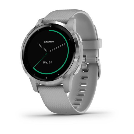 Часы Garmin vivoactive 4S Powder Gray/Silver 
