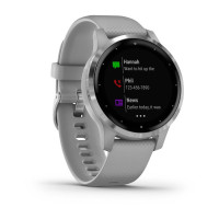 Часы Garmin vivoactive 4S Powder Gray/Silver 