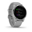 Часы Garmin vivoactive 4S Powder Gray/Silver