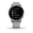 Часы Garmin vivoactive 4S Powder Gray/Silver