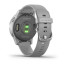 Часы Garmin vivoactive 4S Powder Gray/Silver