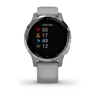 Часы Garmin vivoactive 4S Powder Gray/Silver 