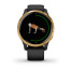 Garmin Venu Black/Gold