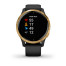 Garmin Venu Black/Gold