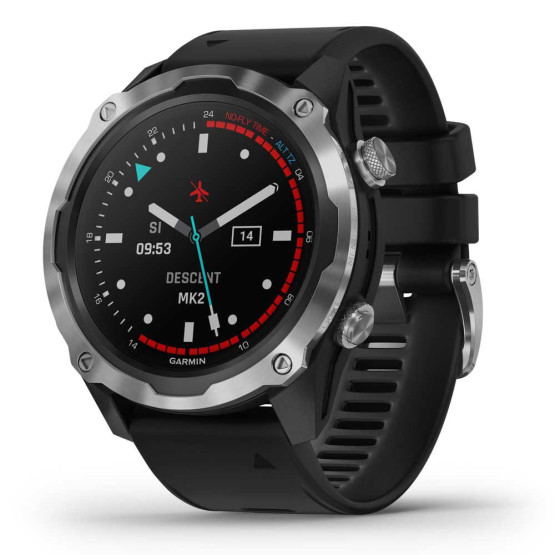 Часы для дайвинга Garmin Descent Mk2 Stainless Steel with Black Band