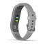 Garmin vivosmart 4 E EU Gray/Silver S/M