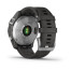 Garmin Fenix 7 Silver with Graphite Band