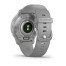 Garmin Venu 2 Plus Silver Stainless Steel Bezel with Powder Gray Case and Silicone Band