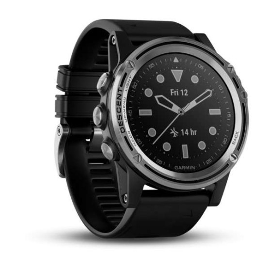 Часы для дайвинга Garmin Descent Mk1 Silver with Black band