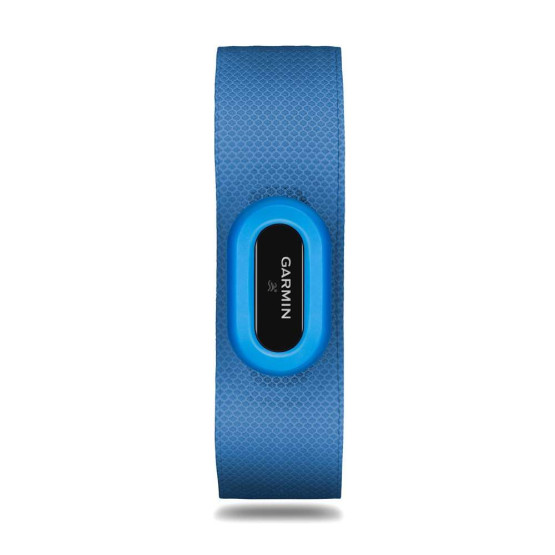 Датчик сердечного ритма для плавания Garmin HRM-Swim Датчик сердечного ритма для плавания Garmin HRM-Swim