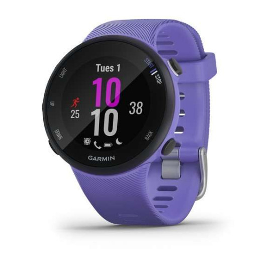 Годинник Garmin Forerunner 45S Iris