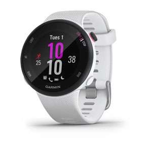 Часы Garmin Forerunner 45S White