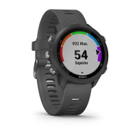 Годинник Garmin Forerunner 245 Slate Gray