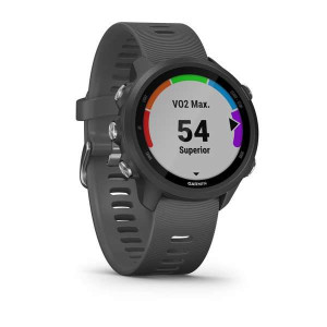 Часы Garmin Forerunner 245 Slate Gray