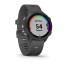Годинник Garmin Forerunner 245 Slate Gray
