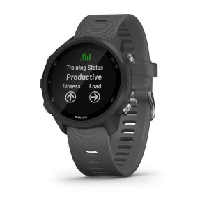 Часы Garmin Forerunner 245 Slate Gray