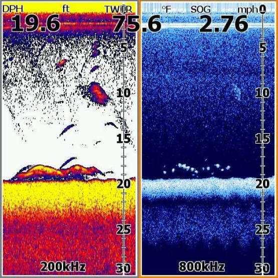 Эхолот Lowrance Elite-5x HDI