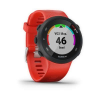 Годинник Garmin Forerunner 45 Lava Red