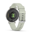 Garmin Lily 2 Classic Silver with Sage Gray Nylon Band