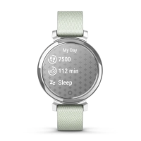 Garmin Lily 2 Classic Silver with Sage Gray Nylon Band