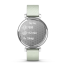 Garmin Lily 2 Classic Silver with Sage Gray Nylon Band