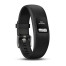 Garmin Vivofit 4 Black  L
